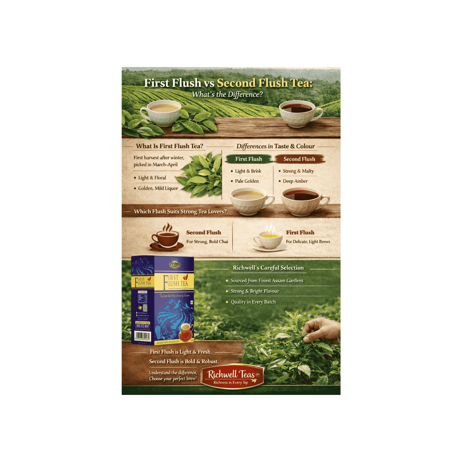 First Flush Tea Vs Second Flush Tea